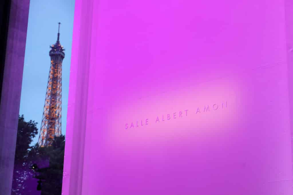Maurice Alain Amon musée d'art moderne de la ville de Paris
