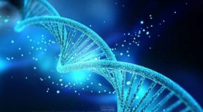 Les tests ADN, la nouvelle mode pour connaître ses origines